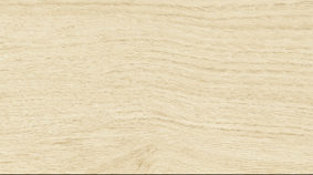 Betula 20x120