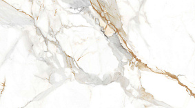 Golden  Francesca 120x300