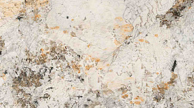 Phoenix 60x120