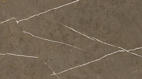 Stone Brown 60x120