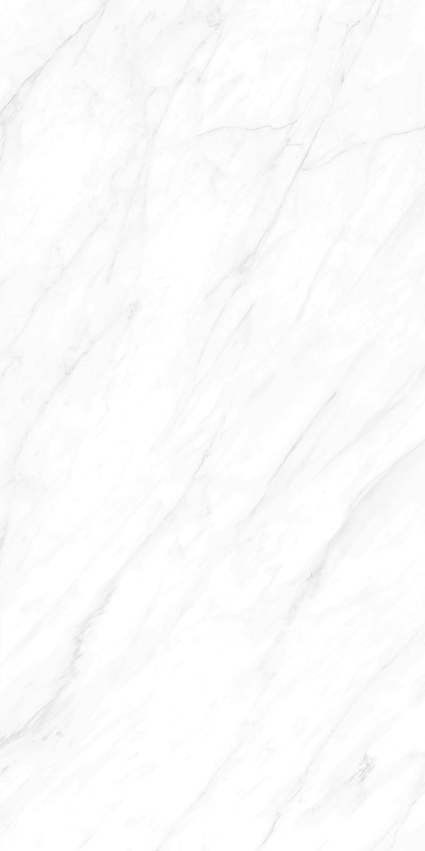 Carrara Matt 60x120