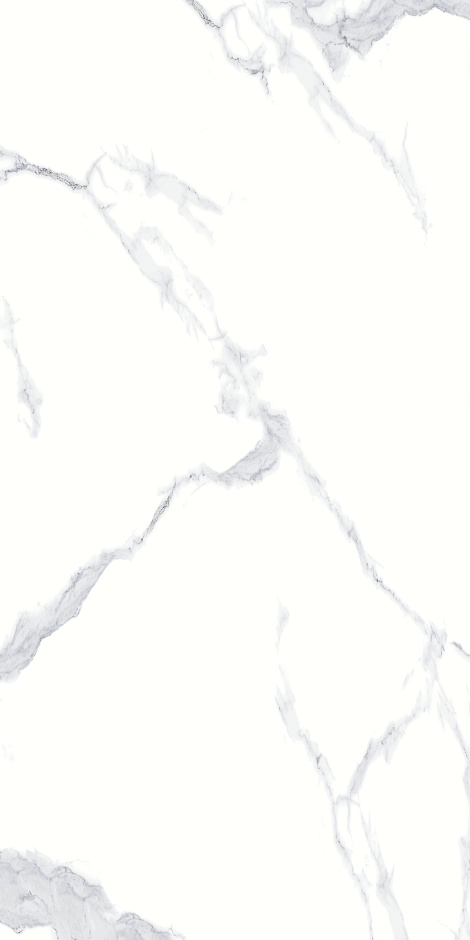 Calacatta White 60x120