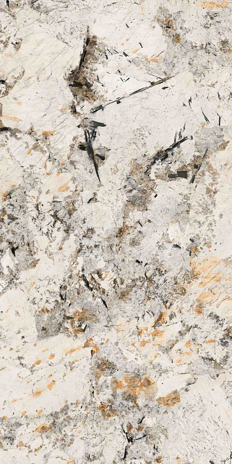 Phoenix 60x120
