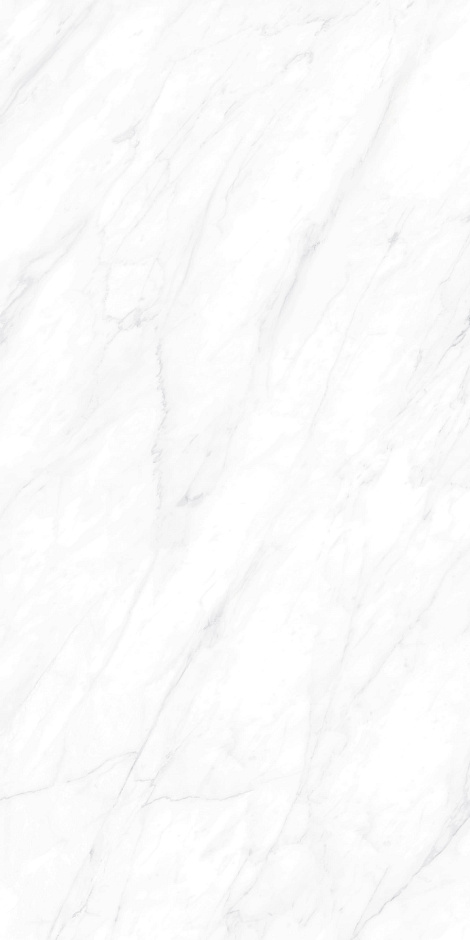 Carrara Matt 60x120