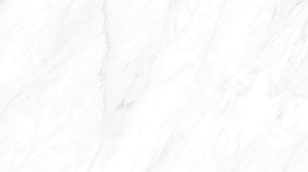 Carrara Matt 60x120