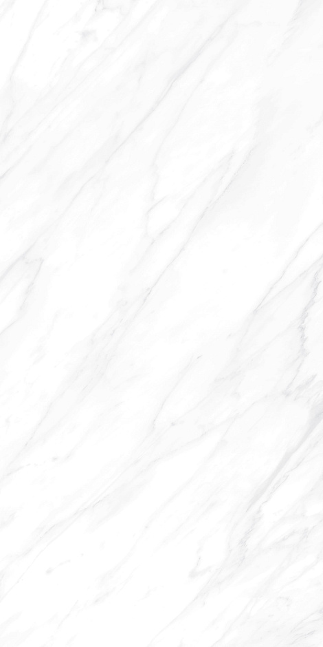 Carrara Matt 60x120