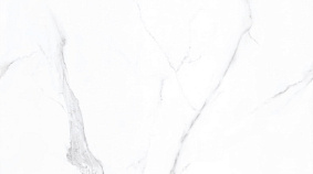 Carrara 60x120