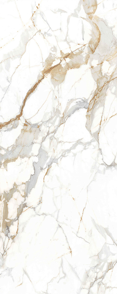 Golden  Francesca 120x300