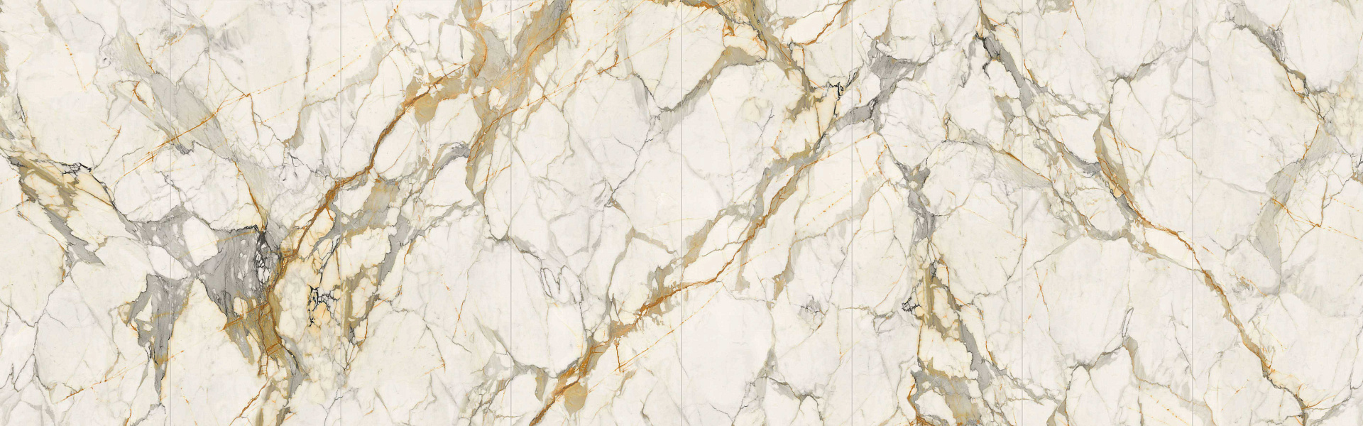 Golden  Francesca 120x300