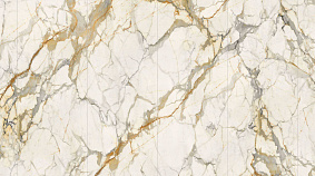 Golden  Francesca 120x300