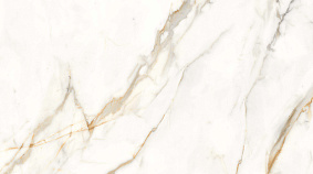 Franca gold 120x300