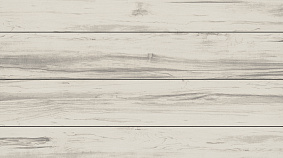 Poplar 20x120