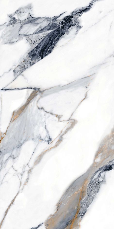 Calacatta Gold 60x120