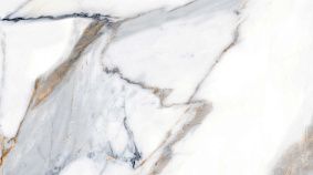 Calacatta Gold 60x120