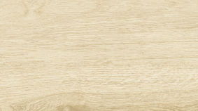 Betula 20x120