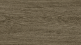 OAK 20x120