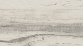 Poplar 20x120