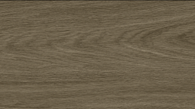 OAK 20x120