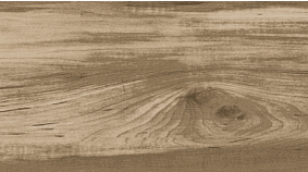 ELM 20x120