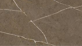Stone Brown 60x120