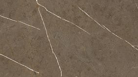 Stone Brown 60x120