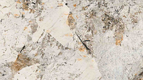 Phoenix 60x120