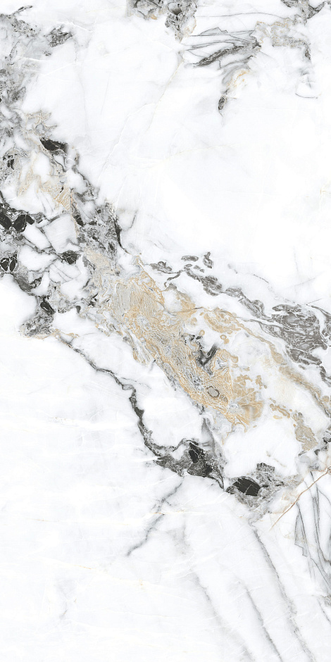 Bianco Gold 60x120