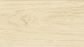 Betula 20x120