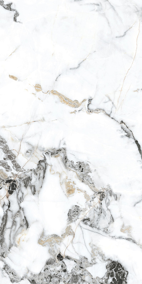 Bianco Gold 60x120