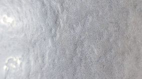 Cateye Light Grey 60x120