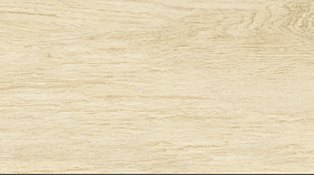 Betula 20x120