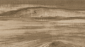 ELM 20x120