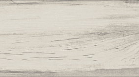 Poplar 20x120