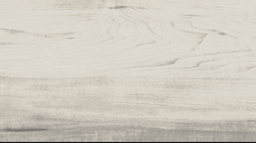 Poplar 20x120