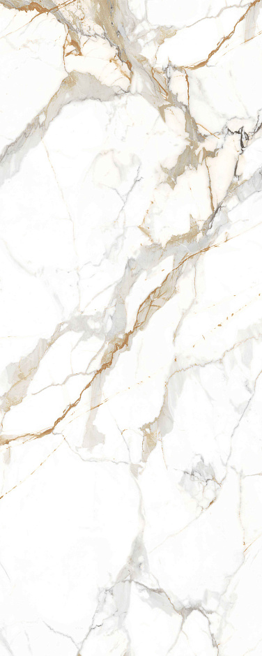Golden  Francesca 120x300
