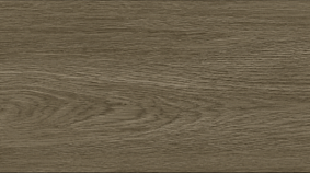 OAK 20x120