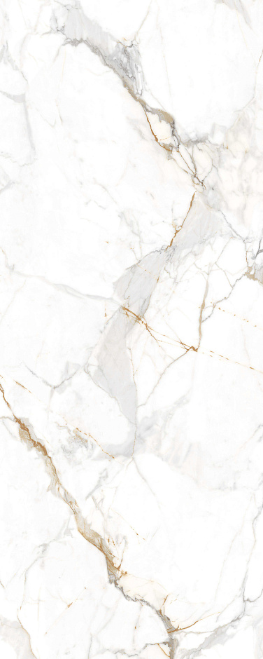 Golden  Francesca 120x300