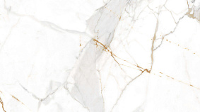 Golden  Francesca 120x300