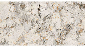 Phoenix 60x120
