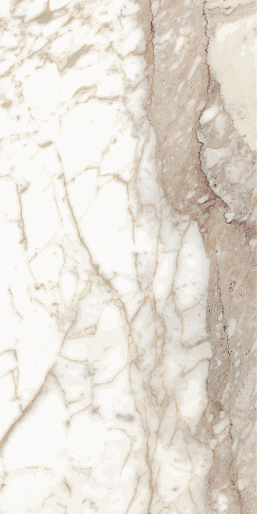 Calacatta Oro 60x120