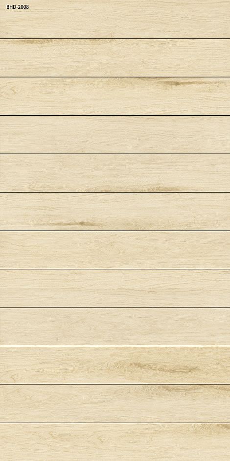 Betula 20x120