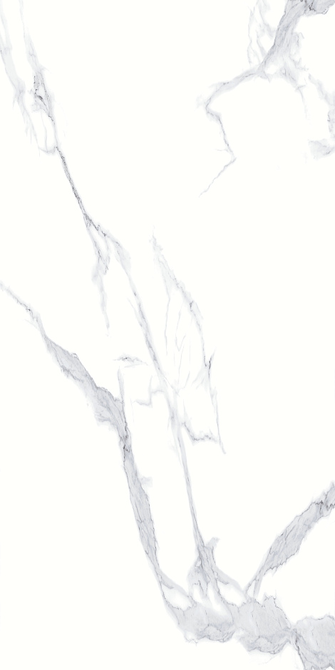Calacatta White 60x120