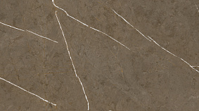 Stone Brown 60x120