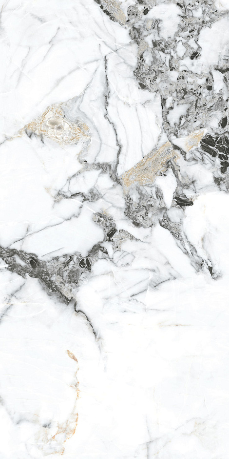 Bianco Gold 60x120