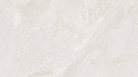 Precious Stone 60x120