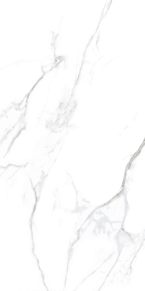 Statuario 60x120