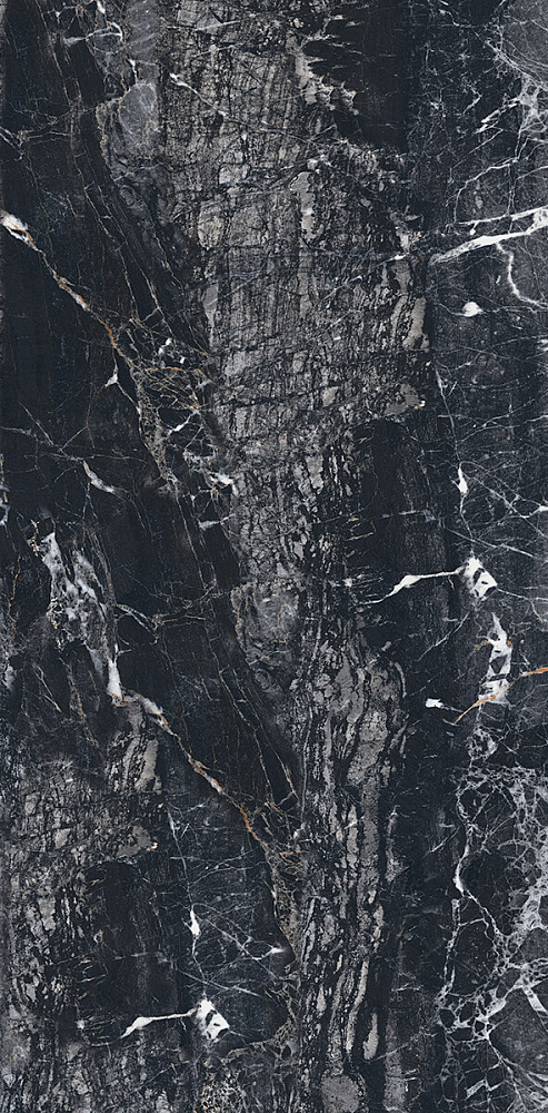 Caribou Black 60x120