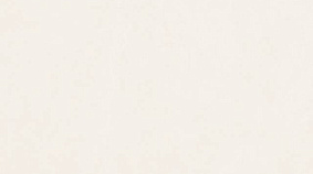 Plain Beige 60x120