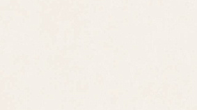 Plain Beige 60x120
