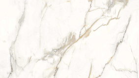 Franca gold 120x300